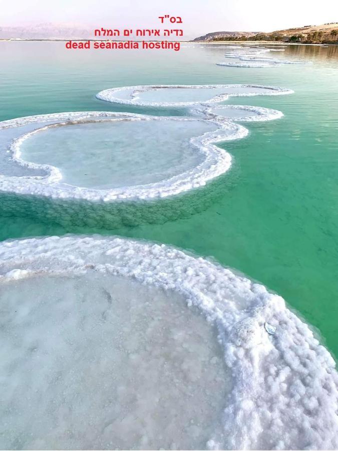 Вилла Nadia Hosting Dead Sea Неве-Зоар Экстерьер фото