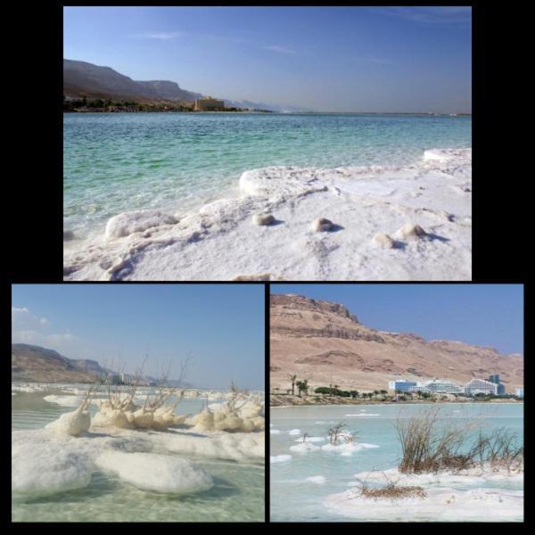 Вилла Nadia Hosting Dead Sea Неве-Зоар Экстерьер фото