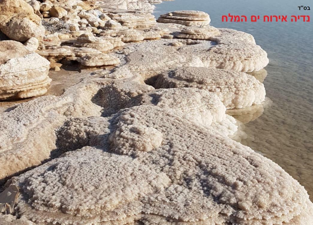 Вилла Nadia Hosting Dead Sea Неве-Зоар Экстерьер фото